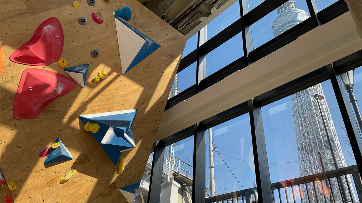 ジム内から望むスカイツリー